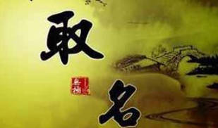 言字如何起名(言字取名男孩)